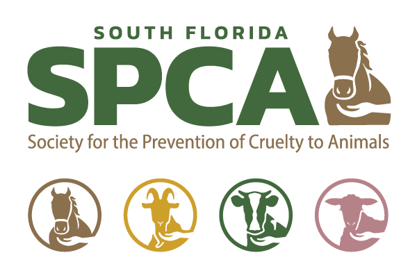 SPCALogoANDIconsV2_Color South Florida SPCA Logo and Icons