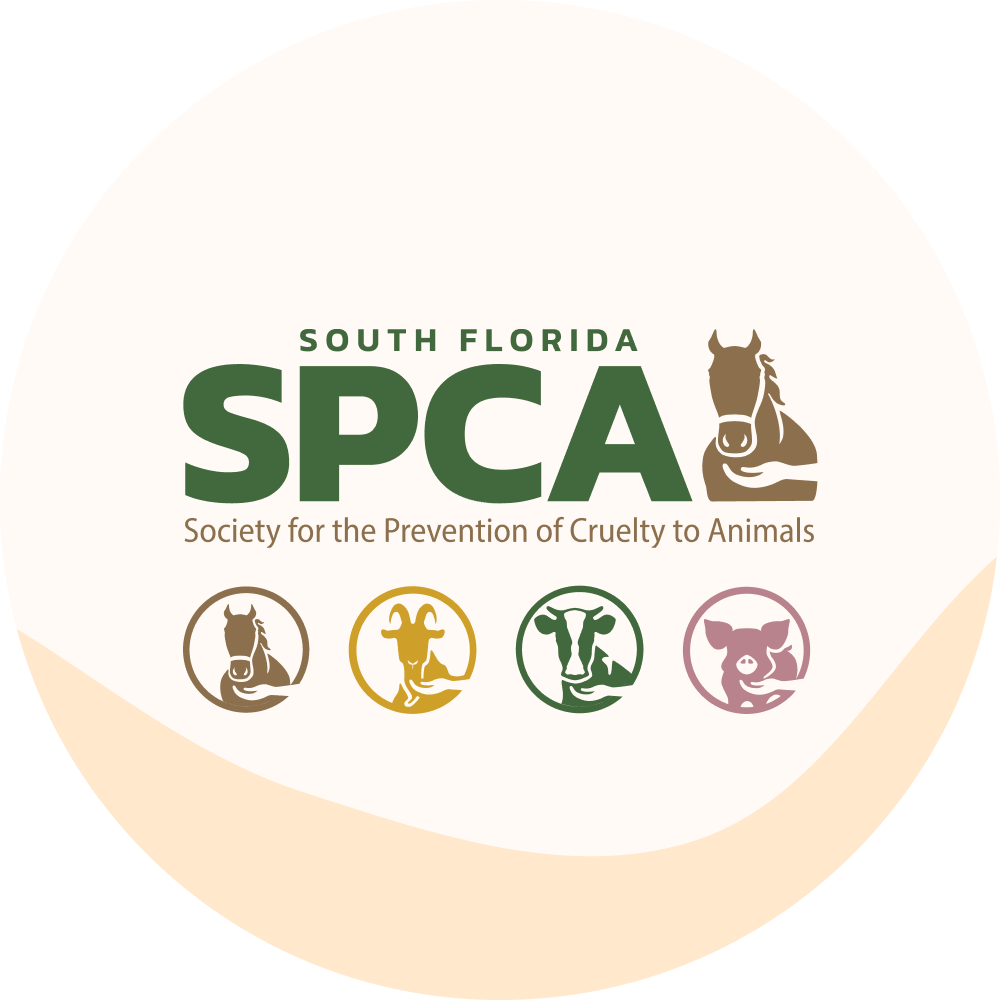 SPCALogoCircle South Florida SPCA Corporate Identity and Icons