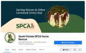 South Florida SPCA Facebook