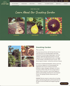 The Little Farm Snacking Garden